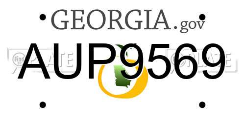 AUP9569 Georgia License Plate