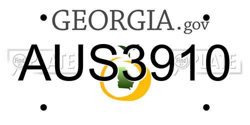AUS3910 Georgia License Plate