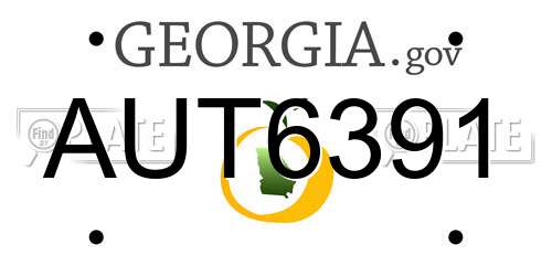 AUT6391 Georgia License Plate