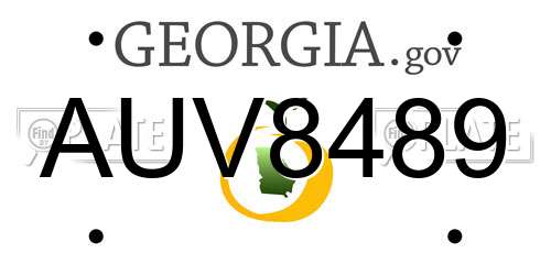 AUV8489 Georgia License Plate