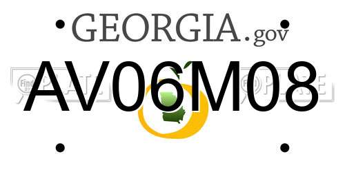 AV06M08 Georgia License Plate