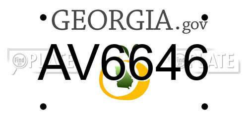 AV6646 Georgia License Plate