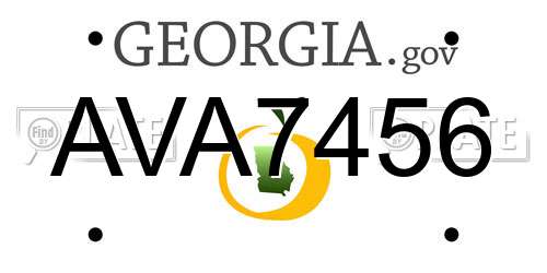 AVA7456 Georgia License Plate