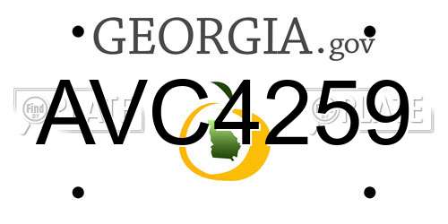 AVC4259 Georgia License Plate