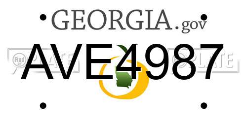 AVE4987 Georgia License Plate