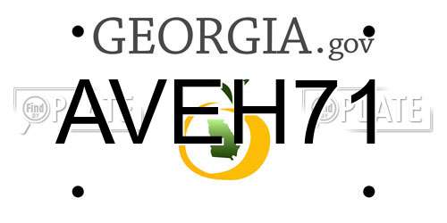 AVEH71 Georgia License Plate