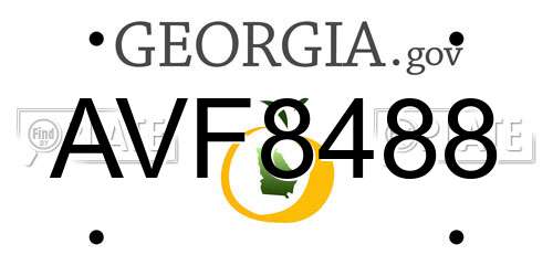 AVF8488 Georgia License Plate