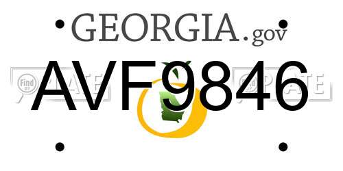 AVF9846 Georgia License Plate