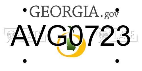AVG0723 Georgia License Plate