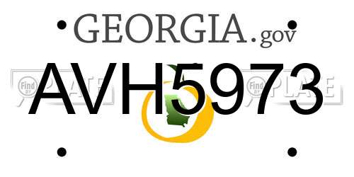 AVH5973 Georgia License Plate