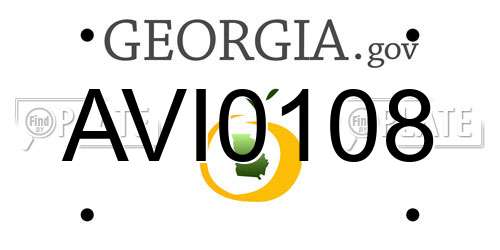 AVI0108 Georgia License Plate