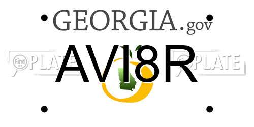 AVI8R Georgia License Plate