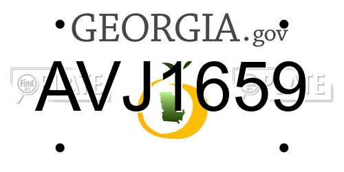 AVJ1659 Georgia License Plate