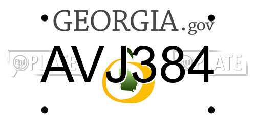 AVJ384 Georgia License Plate