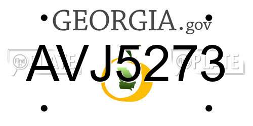 AVJ5273 Georgia License Plate