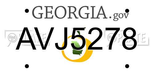 AVJ5278 Georgia License Plate
