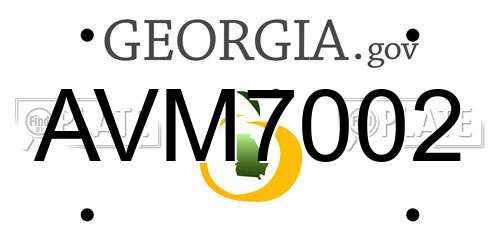 AVM7002 Georgia License Plate