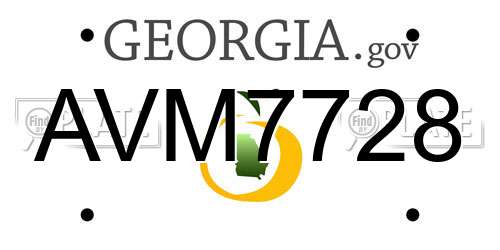AVM7728 Georgia License Plate