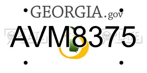 AVM8375 Georgia License Plate
