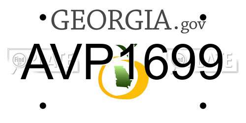 AVP1699 Georgia License Plate