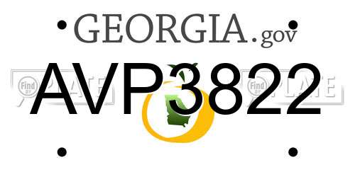 AVP3822 Georgia License Plate