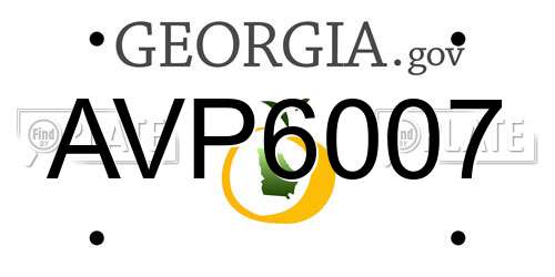 AVP6007 Georgia License Plate