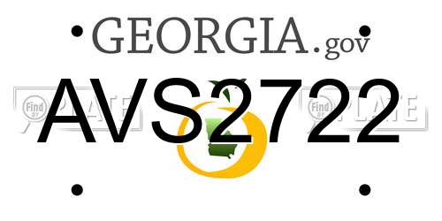 AVS2722 Georgia License Plate