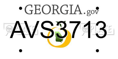AVS3713 Georgia License Plate