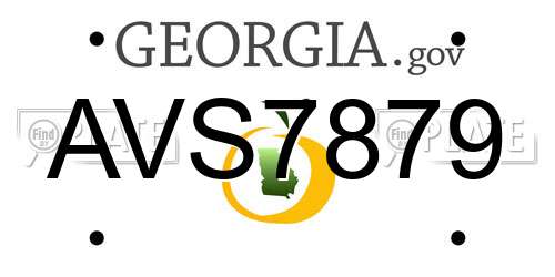 AVS7879 Georgia License Plate