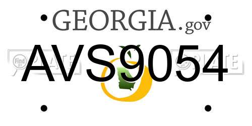AVS9054 Georgia License Plate
