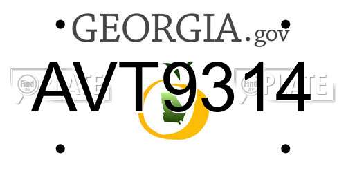 AVT9314 Georgia License Plate