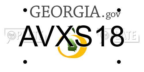 AVXS18 Georgia License Plate