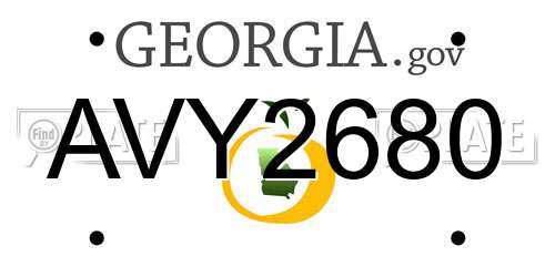 AVY2680 Georgia License Plate