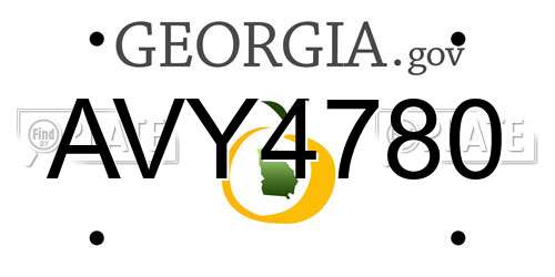 AVY4780 Georgia License Plate