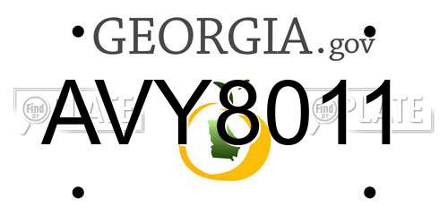 AVY8011 Georgia License Plate