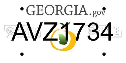 AVZ1734 Georgia License Plate