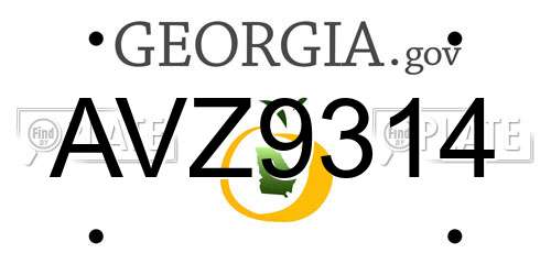 AVZ9314 Georgia License Plate