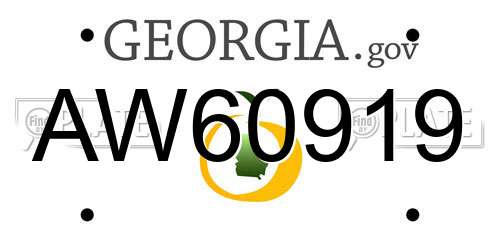 AW60919 Georgia License Plate