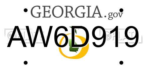 AW6D919 Georgia License Plate