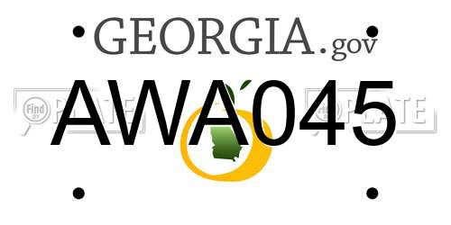 AWA045 Georgia License Plate