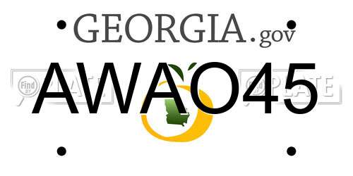 AWAO45 Georgia License Plate