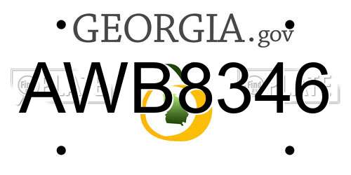 AWB8346 Georgia License Plate