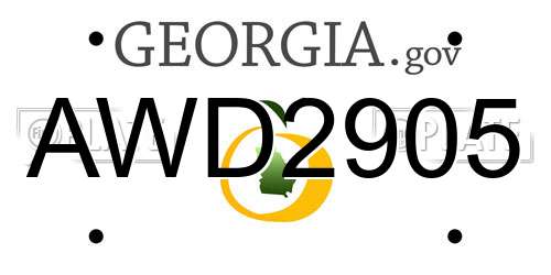 AWD2905 Georgia License Plate