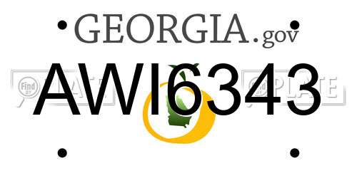 AWI6343 Georgia License Plate