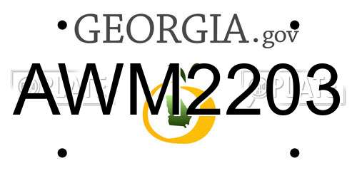 AWM2203 Georgia License Plate