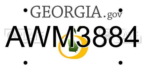 AWM3884 Georgia License Plate