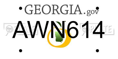 AWN614 Georgia License Plate