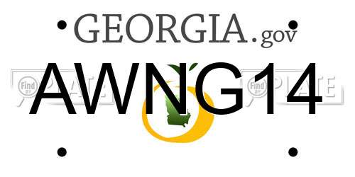 AWNG14 Georgia License Plate