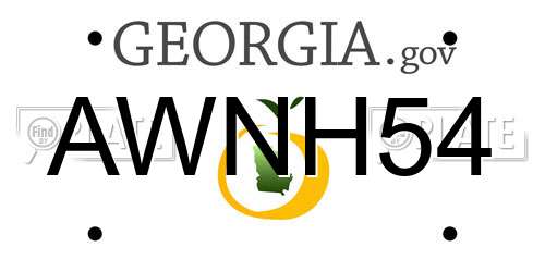AWNH54 Georgia License Plate