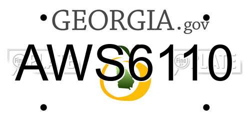 AWS6110 Georgia License Plate